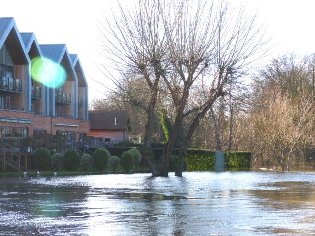 The river Wey joins the Thames here