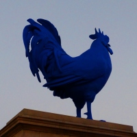 Another Blue Monday: A Blue Chicken